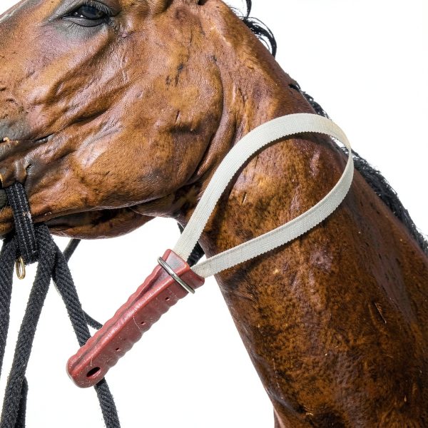 Horse Brush Blade YWJLQH Curry Comb Shedding-4