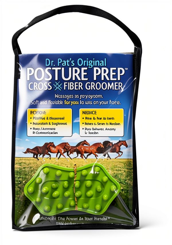 Intrepid International Posture Prep Cross Fiber Groomer Curry Comb-2